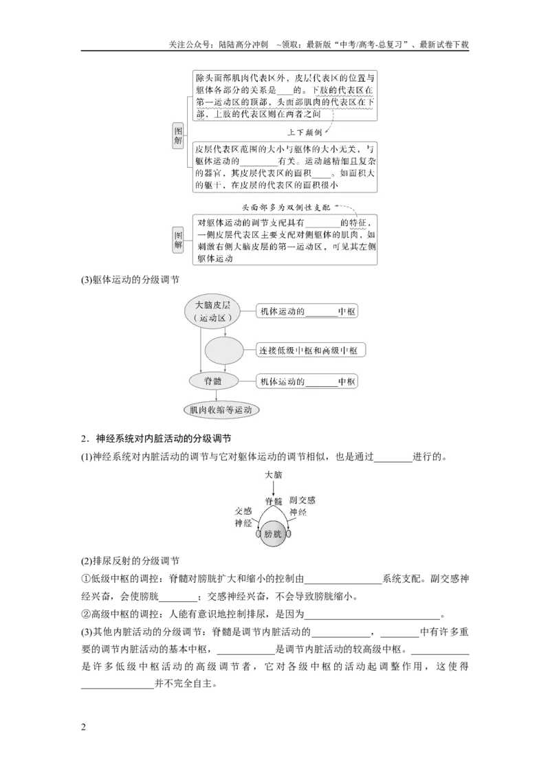 《第八单元　第39课时　神经系统的分级调节及人脑的高级功能_06-生物-高考总复习_一轮复习_2025年_2025年大一轮复习讲义人教版生物_资料_1-资料_大一轮复习讲义学生专用_2025大一轮复习讲义》第2页预览