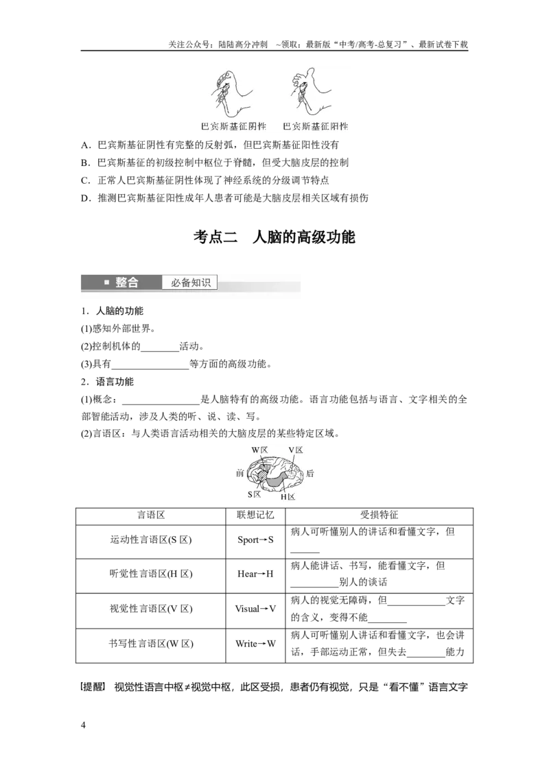《第八单元　第39课时　神经系统的分级调节及人脑的高级功能_06-生物-高考总复习_一轮复习_2025年_2025年大一轮复习讲义人教版生物_资料_1-资料_大一轮复习讲义学生专用_2025大一轮复习讲义》第4页预览