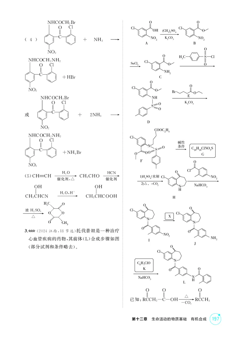 《1_精练册-第十二章　生命活动的物质基础　有机合成_2026版教学资源包_202653高考总复习A版_广东版_2026版.广东版.选考总复习.化学.5·3A版_二、教师用书PDF_1_专题资料包》第8页预览