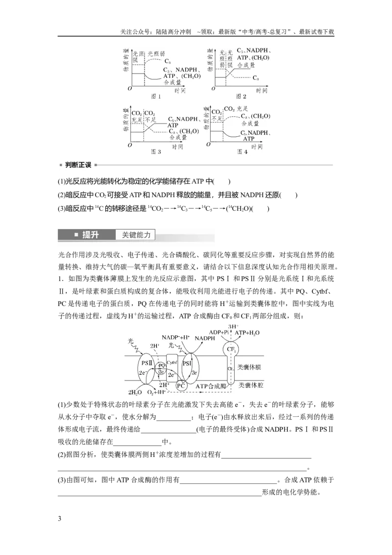 《第三单元　第16课时　光合作用的原理_06-生物-高考总复习_一轮复习_2025年_2025年大一轮复习讲义人教版生物_资料_1-资料_大一轮复习讲义学生专用_2025大一轮复习讲义》第3页预览