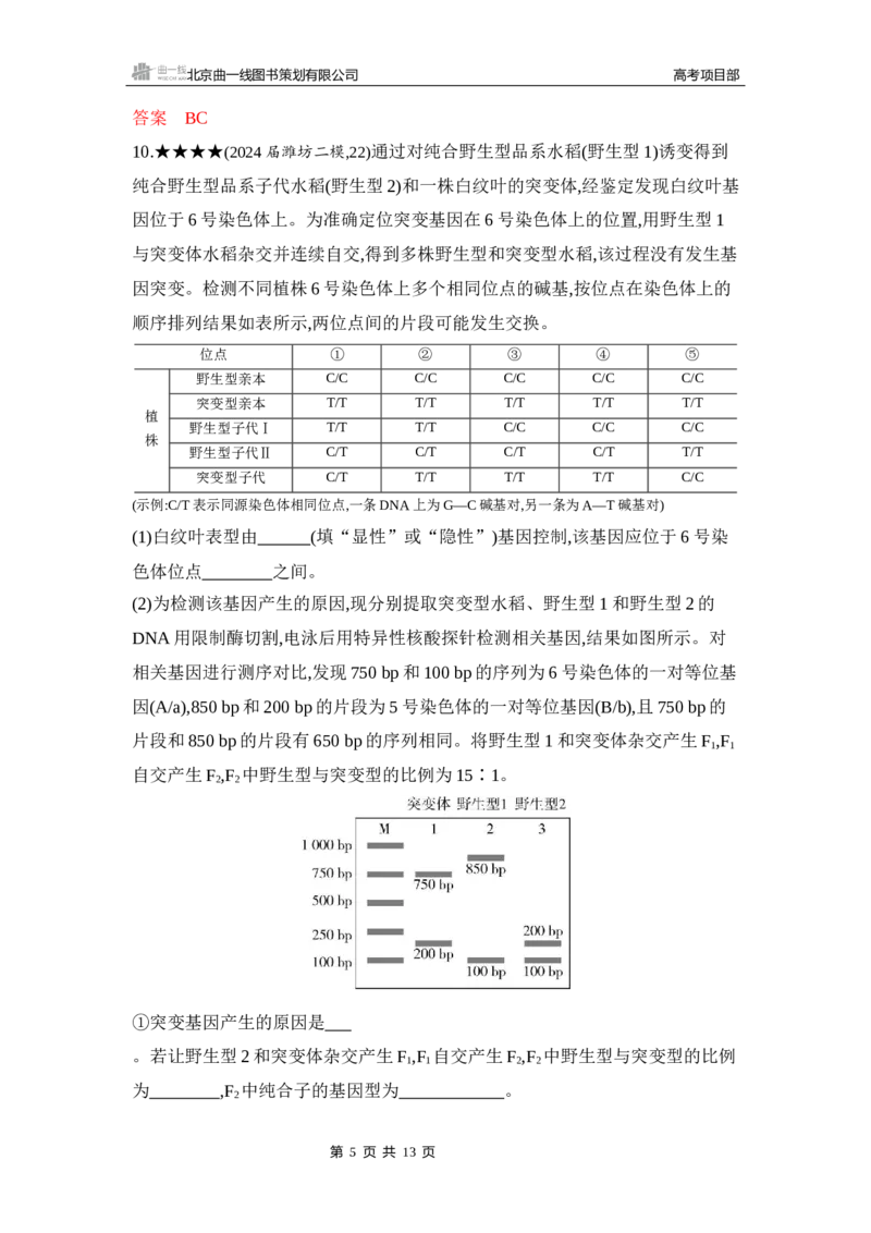 《1_精练册Word-第11章　基因突变及其他变异_2026版教学资源包_202653高考总复习A版_山东版_2026版.山东版.选考总复习.生物.5·3A版_第2部分遗传与进化_第11章基因突变及其他变异_5_习题WORD》第5页预览