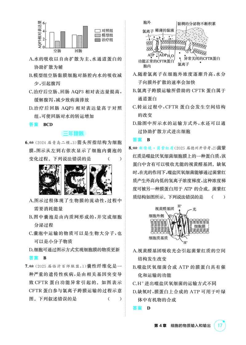 《1_精练册PDF-第4章细胞的物质输入和输出_2026版教学资源包_202653高考总复习A版_山东版_2026版.山东版.选考总复习.生物.5·3A版_第1部分分子与细胞_第4章细胞的物质输入与输出_1_精练册PDF》第5页预览