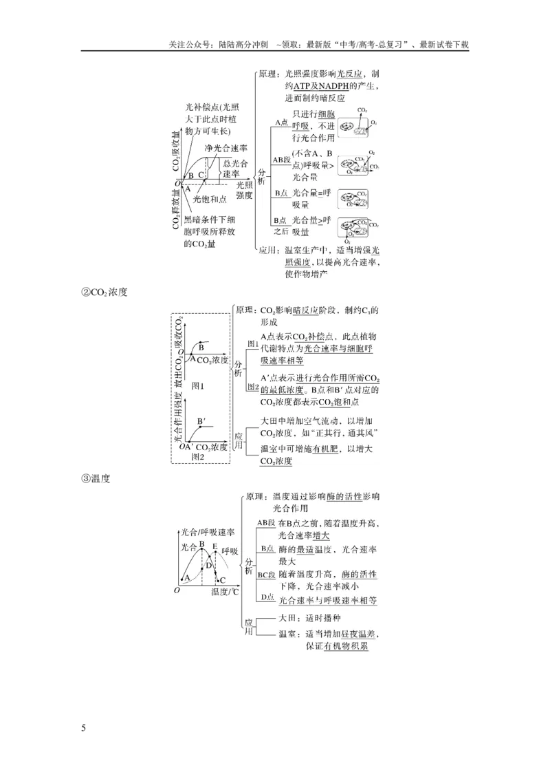 《第三单元　第17课时　光合作用的影响因素及其应用_06-生物-高考总复习_一轮复习_2025年_2025年大一轮复习讲义人教版生物_资料_1-资料_大一轮复习讲义教师专用》第5页预览