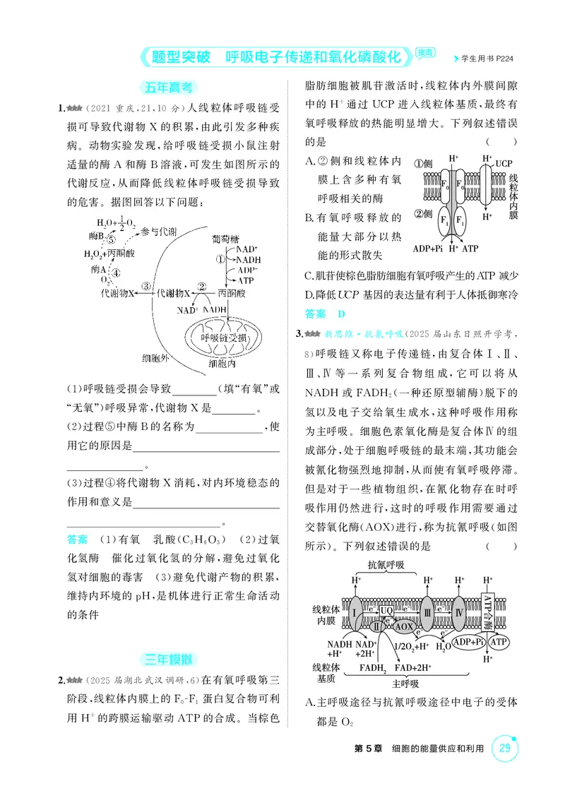 《1_精练册第5章细胞的能量供应和利用_2026版教学资源包_202653高考总复习A版_新高考_生物_教师A版2026年.新高考版.生物.53_第1部分分子与细胞_第5章细胞的能量供应和利用_4_PDF教参电子书》第8页预览