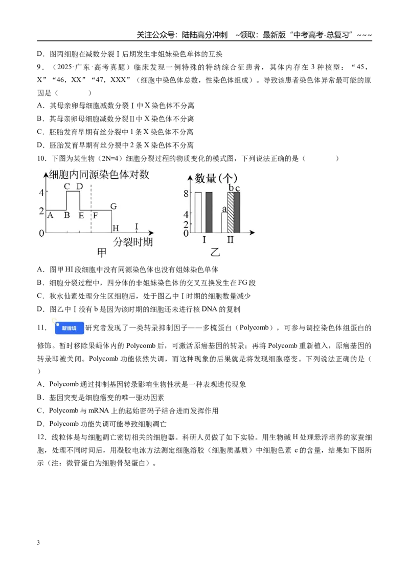 《第四单元细胞的生命历程（综合训练）（湖南专用）（学生版）_06-生物-高考总复习_一轮复习_2026年-生物高考一轮复习_2026年高考生物一轮课件+讲义+练习（湖南专用）-G331》第3页预览