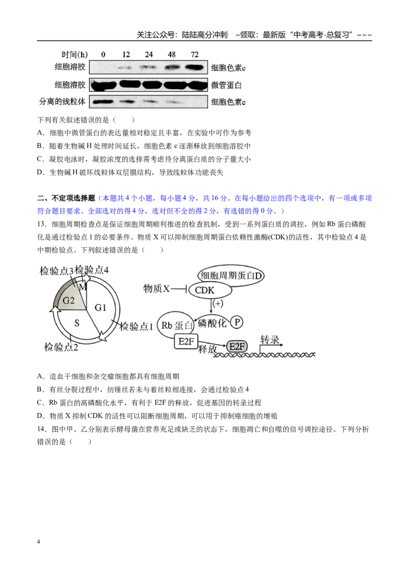 《第四单元细胞的生命历程（综合训练）（湖南专用）（学生版）_06-生物-高考总复习_一轮复习_2026年-生物高考一轮复习_2026年高考生物一轮课件+讲义+练习（湖南专用）-G331》第4页预览