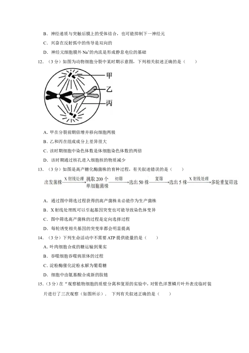 《2014年江苏省高考生物试卷(1)_高考一二三轮复习_生物_2027年高考生物专项_2008年-2026年生物高考真题-G427_2008-2020年高考_地方卷_江苏高考生物07-20_A4word版》第3页预览