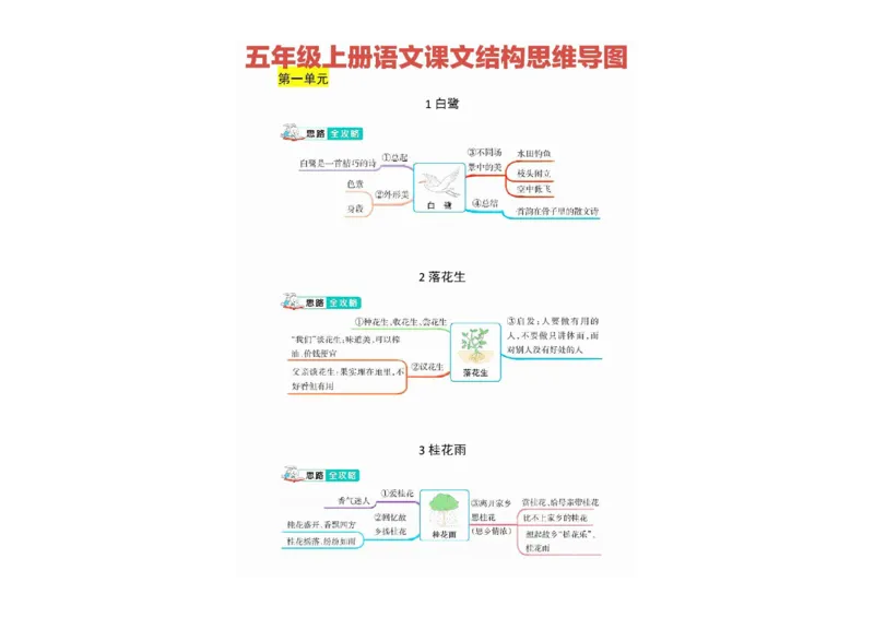 《五年级上册思维导图_5年级上册同步教辅_5上语文_五上语文专项+练习》第1页预览