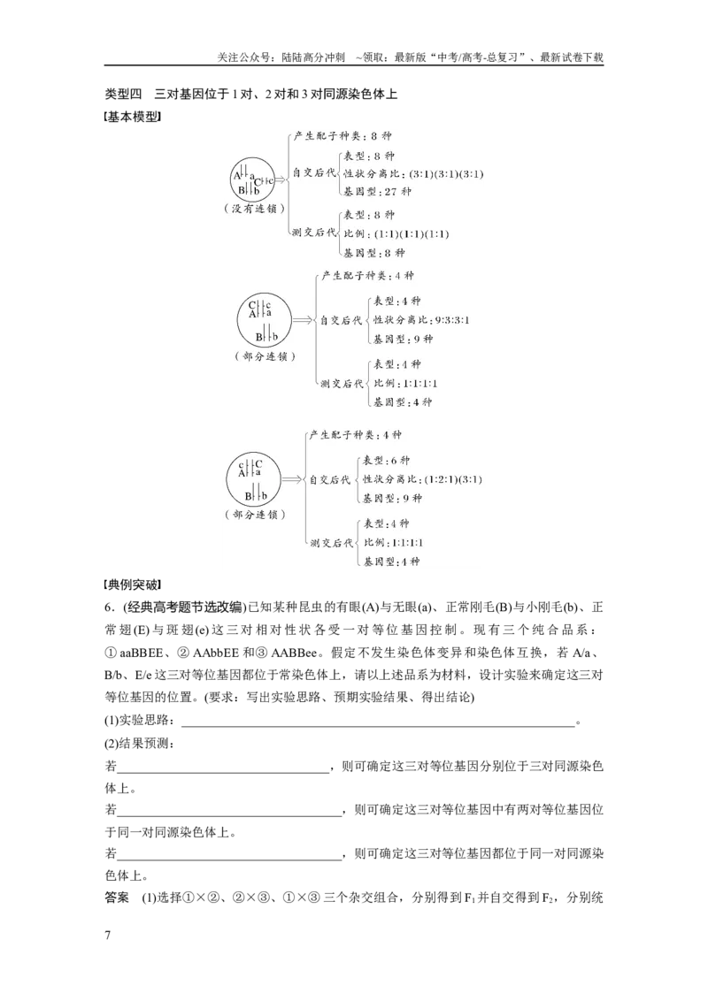 《第五单元　专题突破7　探究不同对基因在常染色体上的位置_06-生物-高考总复习_一轮复习_2025年_2025年大一轮复习讲义人教版生物_资料_1-资料_大一轮复习讲义教师专用》第7页预览