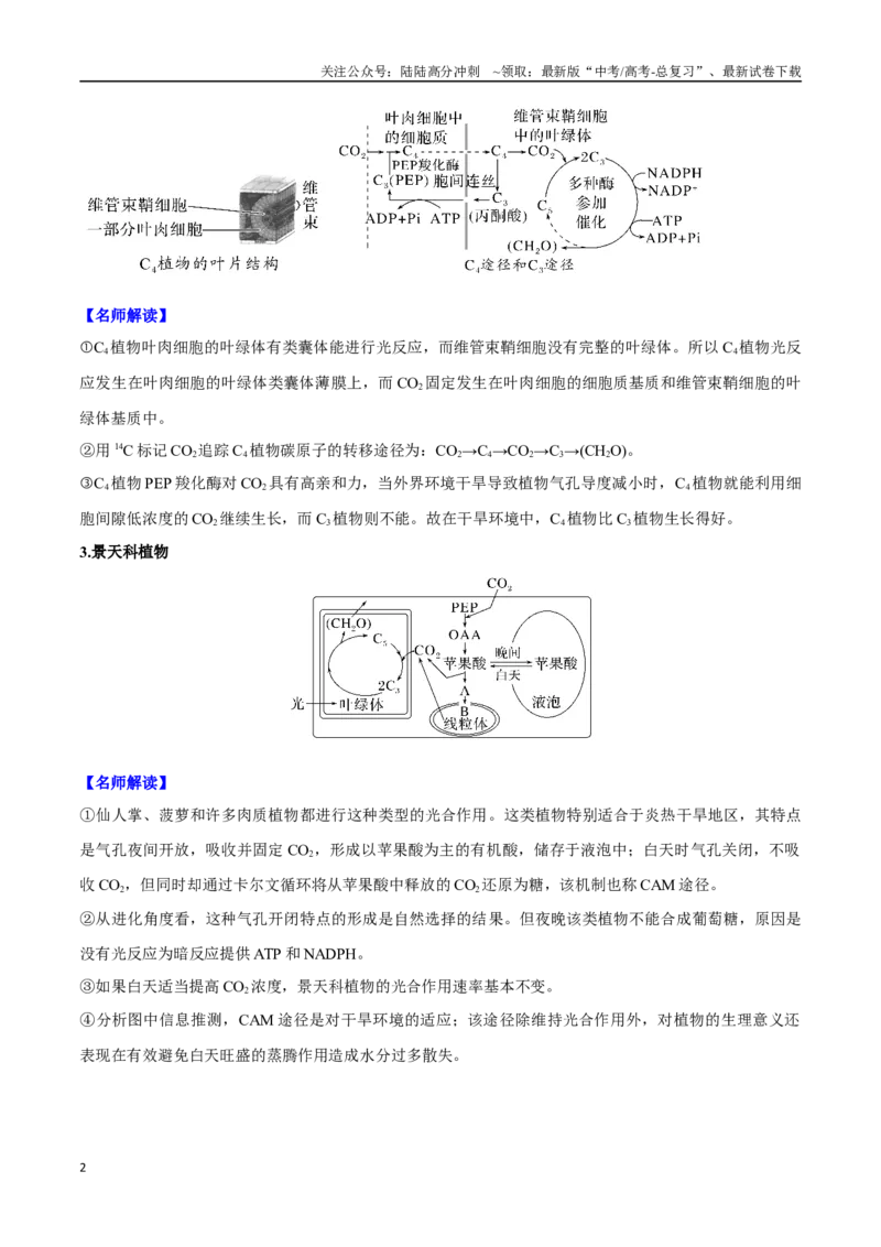 《重难题型02C3植物、C4植物和CAM植物的光合作用（教师版）_06-生物-高考总复习_专项复习_2025年_2025年高考生物重难点讲义专练（新高考通用）》第2页预览