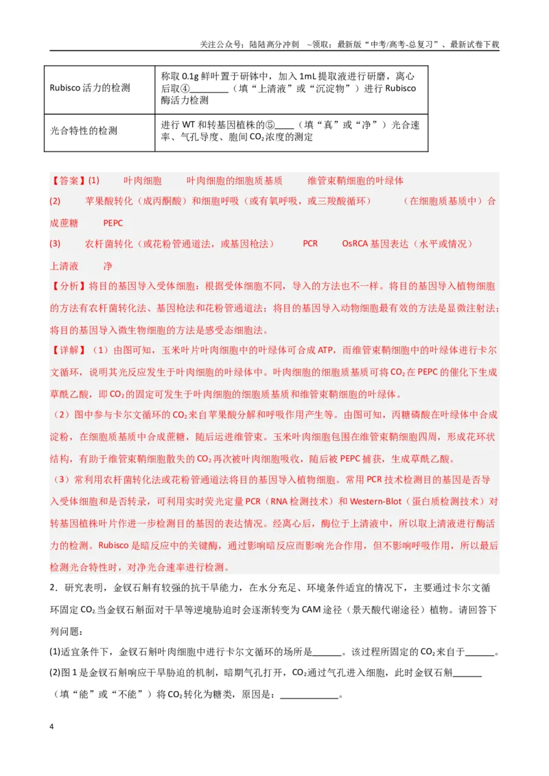 《重难题型02C3植物、C4植物和CAM植物的光合作用（教师版）_06-生物-高考总复习_专项复习_2025年_2025年高考生物重难点讲义专练（新高考通用）》第4页预览
