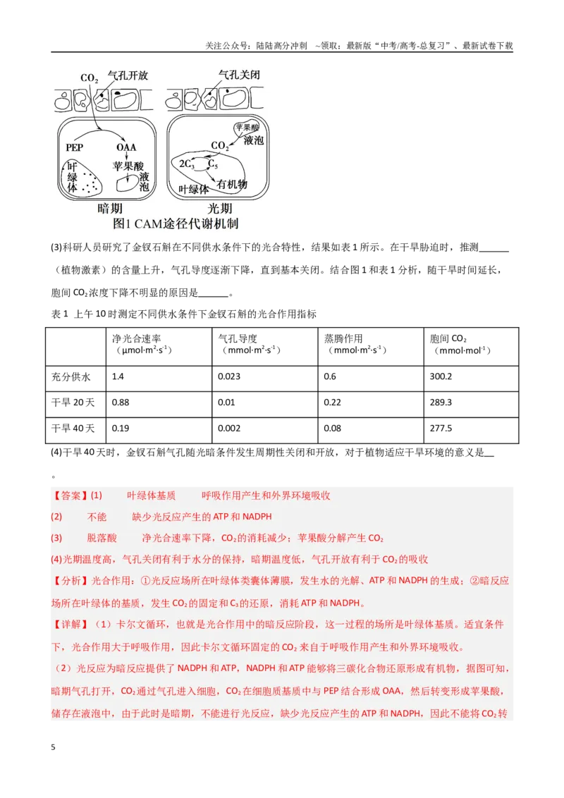 《重难题型02C3植物、C4植物和CAM植物的光合作用（教师版）_06-生物-高考总复习_专项复习_2025年_2025年高考生物重难点讲义专练（新高考通用）》第5页预览
