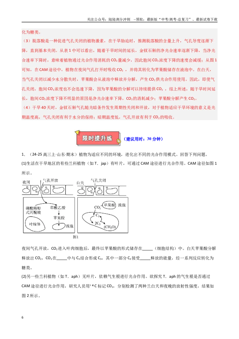 《重难题型02C3植物、C4植物和CAM植物的光合作用（教师版）_06-生物-高考总复习_专项复习_2025年_2025年高考生物重难点讲义专练（新高考通用）》第6页预览