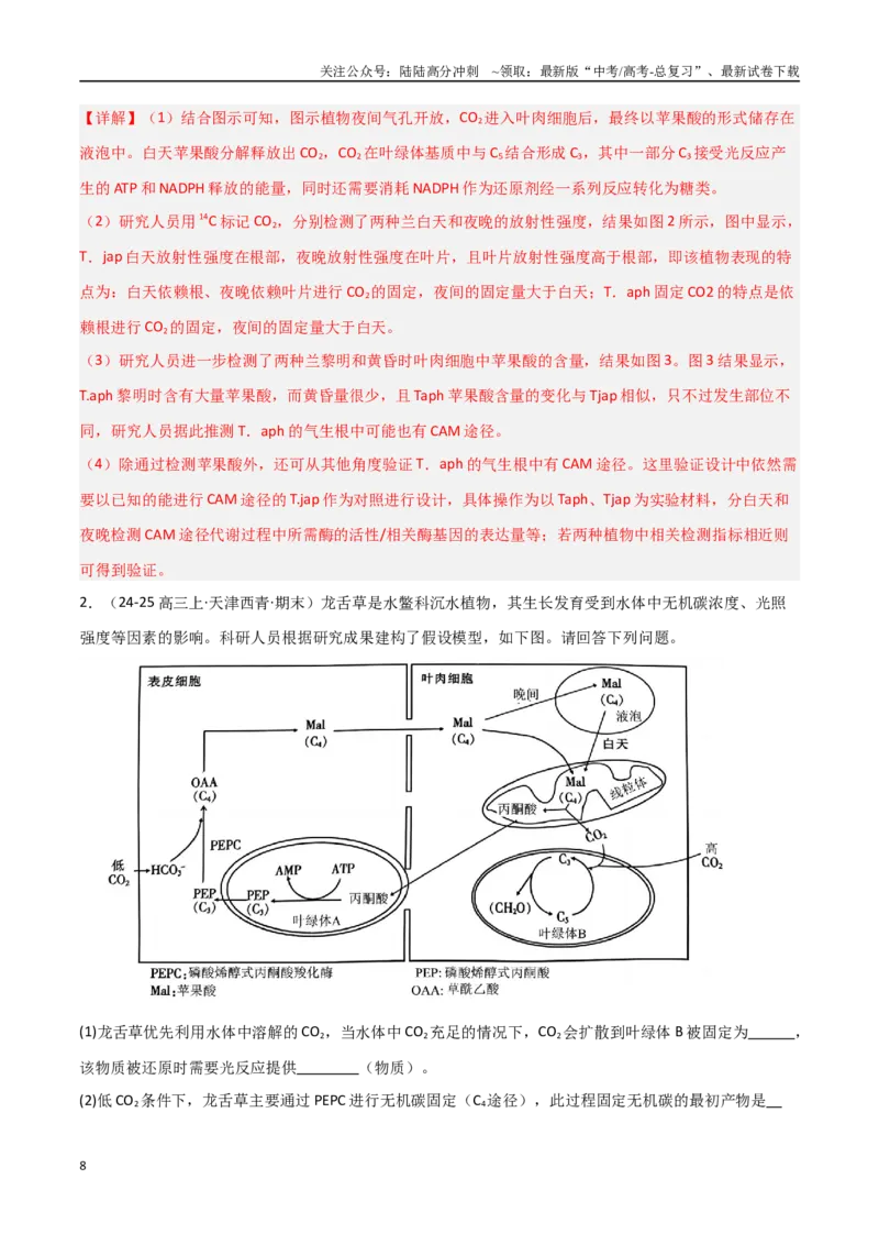 《重难题型02C3植物、C4植物和CAM植物的光合作用（教师版）_06-生物-高考总复习_专项复习_2025年_2025年高考生物重难点讲义专练（新高考通用）》第8页预览