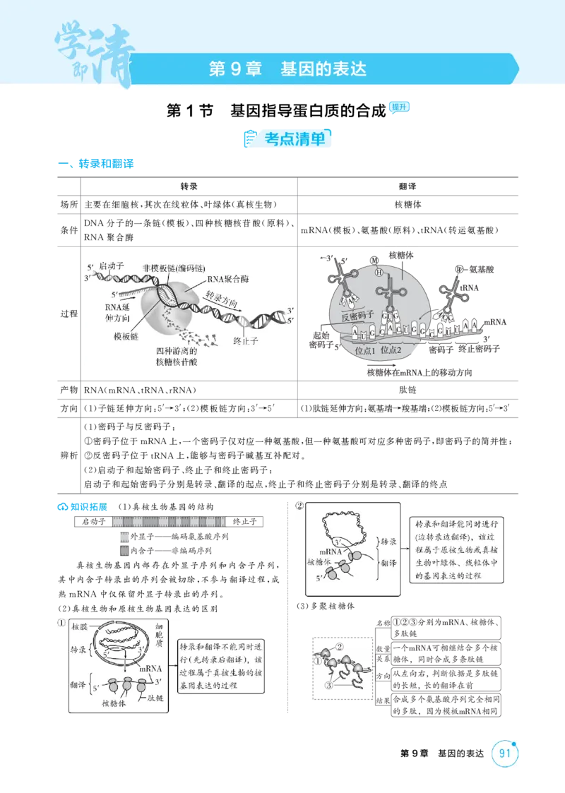 《1_精讲册-第9章　基因的表达_2026版教学资源包_202653高考总复习A版_江苏版_2026版.江苏版.选考总复习.生物.5·3A版_第2部分遗传与进化_第9章基因的表达_2_精讲册PDF》第1页预览