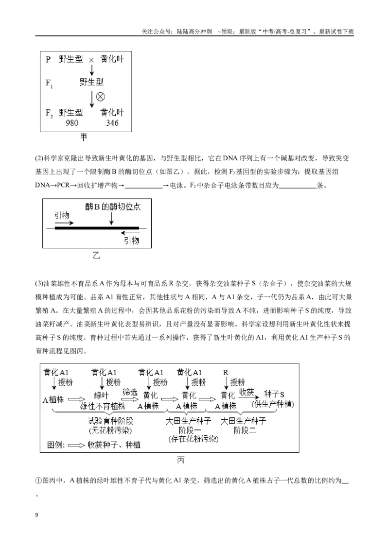 《第5天遗传的基本规律（解析版）_06-生物-高考总复习_专项复习_2024年_2024年高考生物考前15天夺分必备_资料》第9页预览