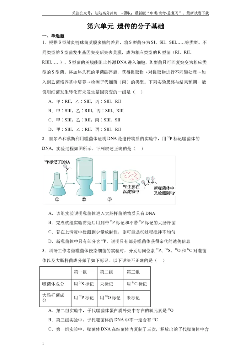 《第六单元遗传的分子基础（测试卷）（原卷版)_06-生物-高考总复习_一轮复习_2024年_2024年高考生物一轮复习重难点专项突破_资料》第1页预览