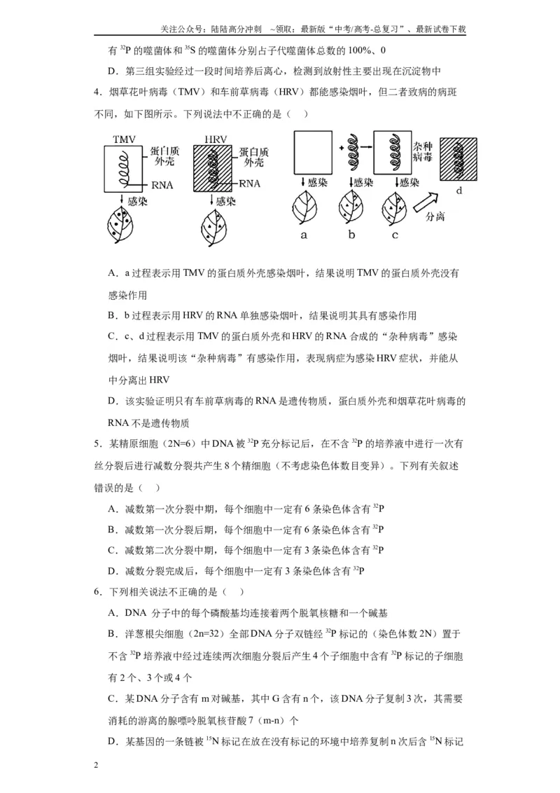 《第六单元遗传的分子基础（测试卷）（原卷版)_06-生物-高考总复习_一轮复习_2024年_2024年高考生物一轮复习重难点专项突破_资料》第2页预览