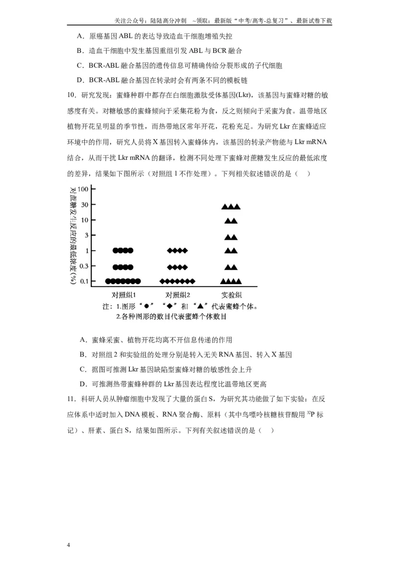 《第六单元遗传的分子基础（测试卷）（原卷版)_06-生物-高考总复习_一轮复习_2024年_2024年高考生物一轮复习重难点专项突破_资料》第4页预览