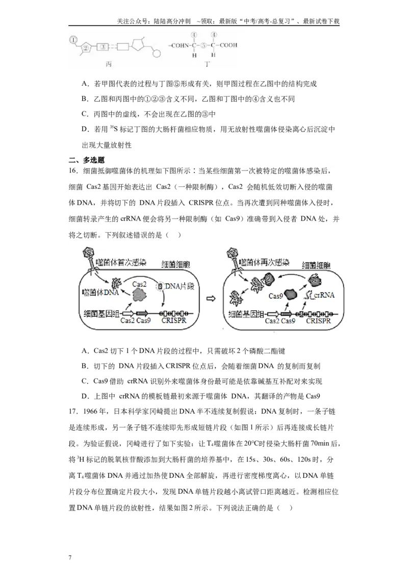 《第六单元遗传的分子基础（测试卷）（原卷版)_06-生物-高考总复习_一轮复习_2024年_2024年高考生物一轮复习重难点专项突破_资料》第7页预览