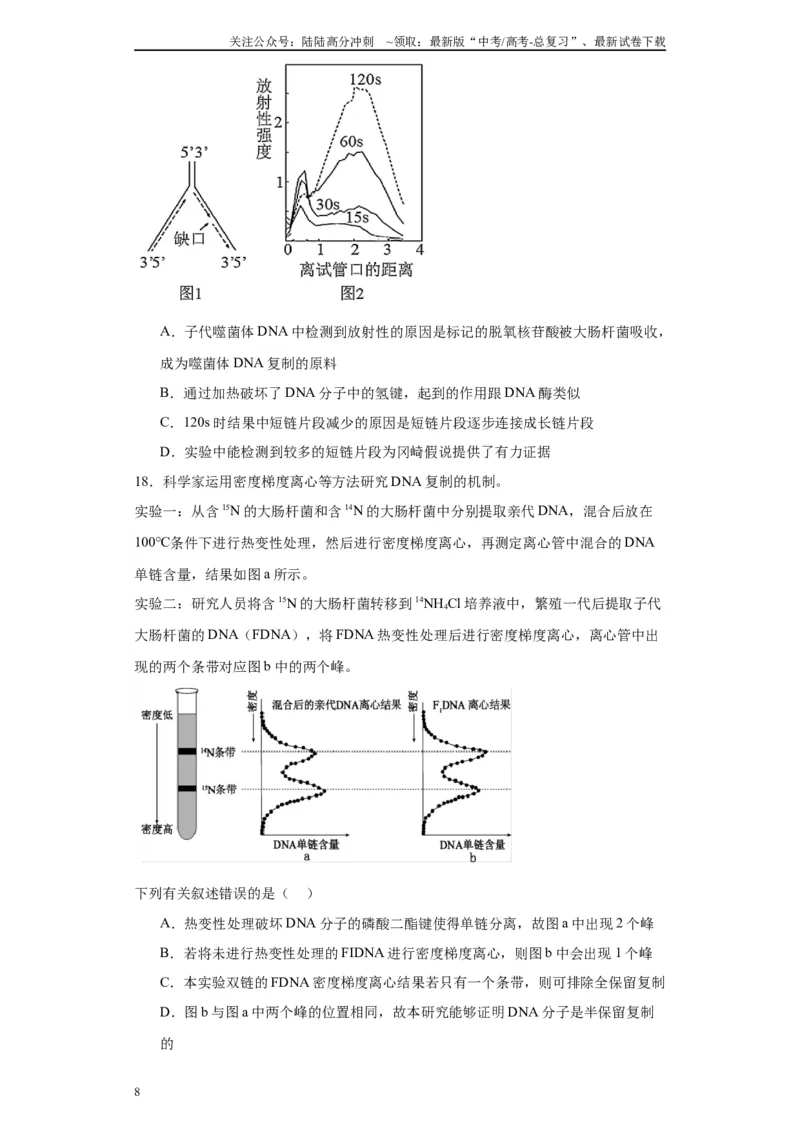 《第六单元遗传的分子基础（测试卷）（原卷版)_06-生物-高考总复习_一轮复习_2024年_2024年高考生物一轮复习重难点专项突破_资料》第8页预览