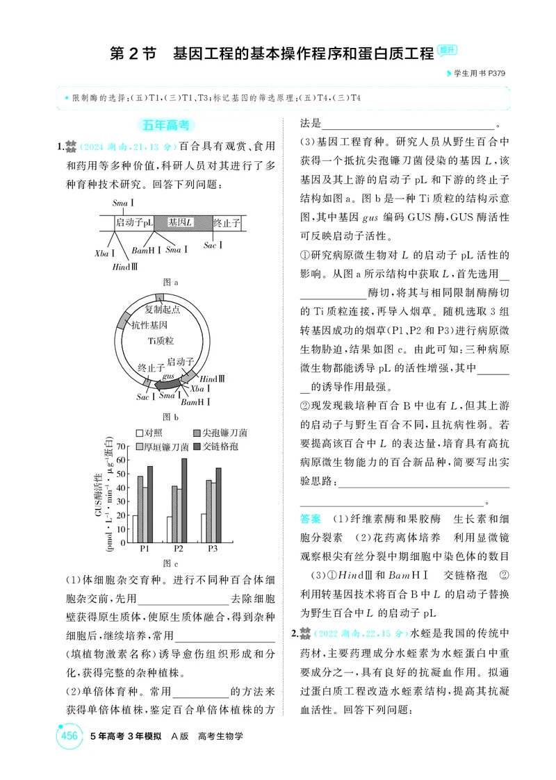 《1_精练册-第24章基因工程_2026版教学资源包_202653高考总复习A版_湖南版_2026版.湖南版.选考总复习.生物.5·3A版_第5部分生物技术与工程_第24章基因工程_4_PDF教参电子书》第4页预览