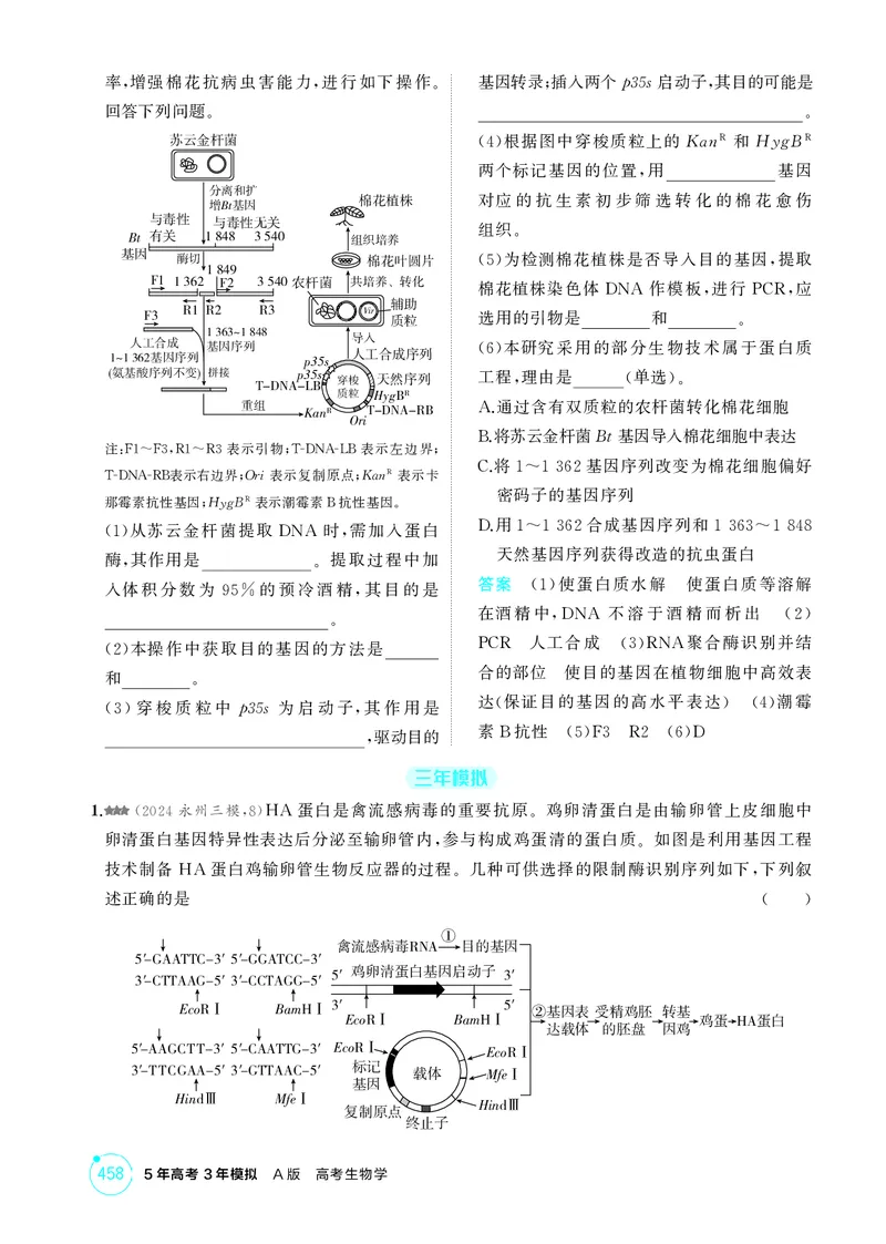 《1_精练册-第24章基因工程_2026版教学资源包_202653高考总复习A版_湖南版_2026版.湖南版.选考总复习.生物.5·3A版_第5部分生物技术与工程_第24章基因工程_4_PDF教参电子书》第6页预览