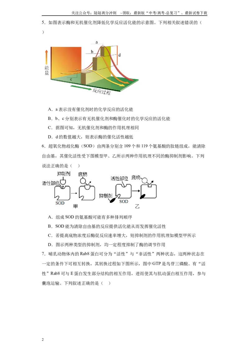 《第三单元细胞的代谢（测试卷）（原卷版)_06-生物-高考总复习_一轮复习_2024年_2024年高考生物一轮复习重难点专项突破_资料》第2页预览
