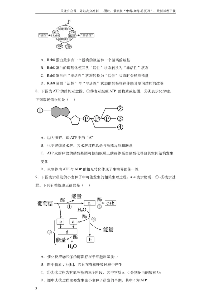 《第三单元细胞的代谢（测试卷）（原卷版)_06-生物-高考总复习_一轮复习_2024年_2024年高考生物一轮复习重难点专项突破_资料》第3页预览