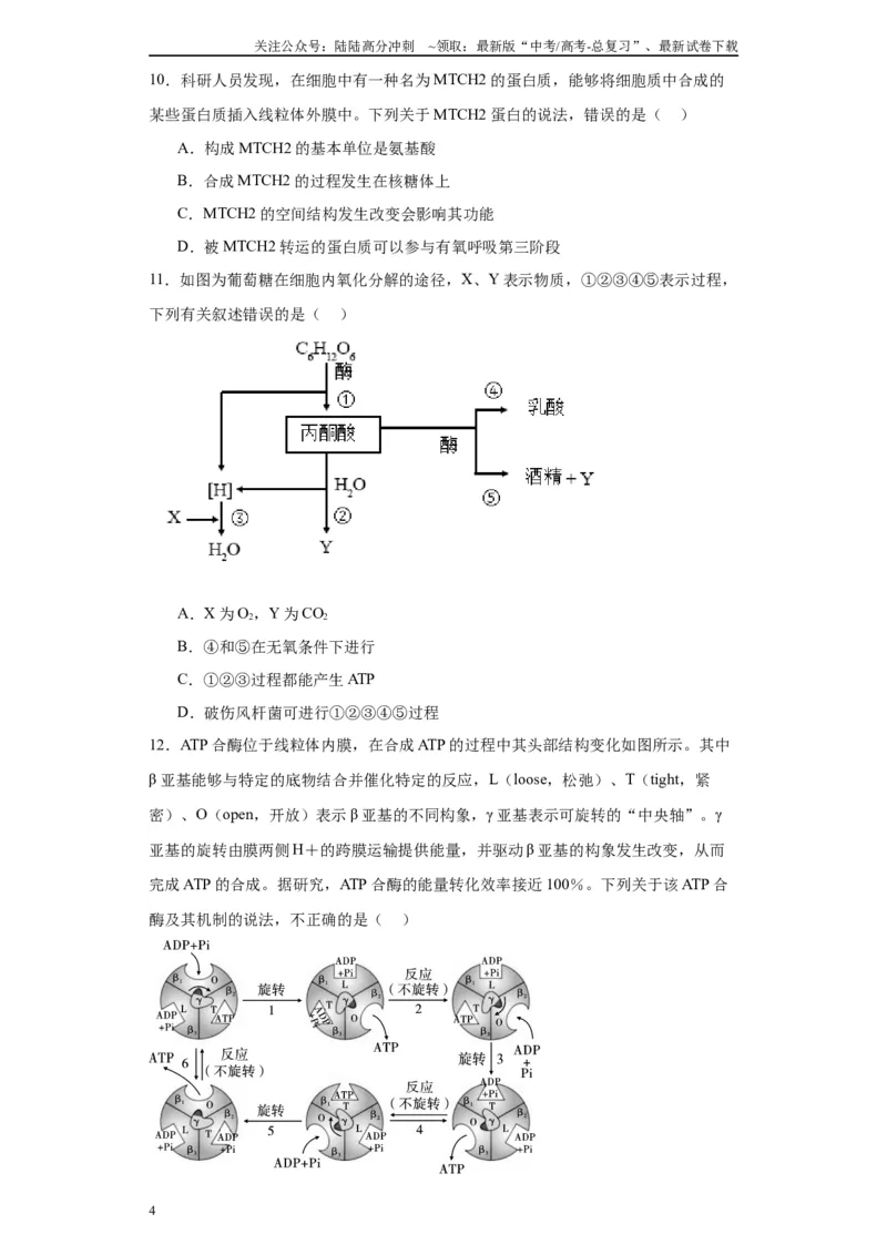 《第三单元细胞的代谢（测试卷）（原卷版)_06-生物-高考总复习_一轮复习_2024年_2024年高考生物一轮复习重难点专项突破_资料》第4页预览