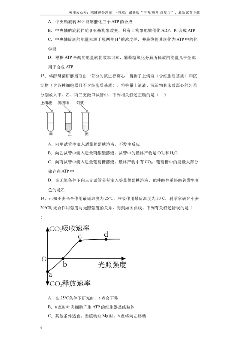 《第三单元细胞的代谢（测试卷）（原卷版)_06-生物-高考总复习_一轮复习_2024年_2024年高考生物一轮复习重难点专项突破_资料》第5页预览