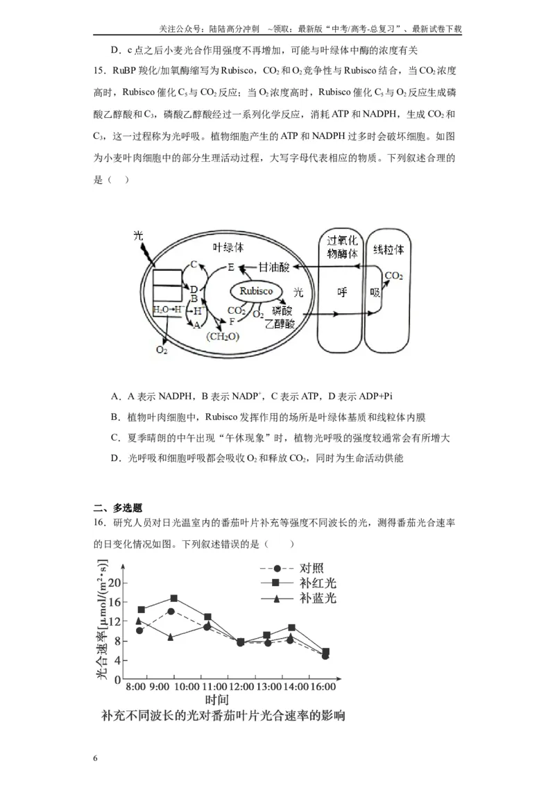 《第三单元细胞的代谢（测试卷）（原卷版)_06-生物-高考总复习_一轮复习_2024年_2024年高考生物一轮复习重难点专项突破_资料》第6页预览