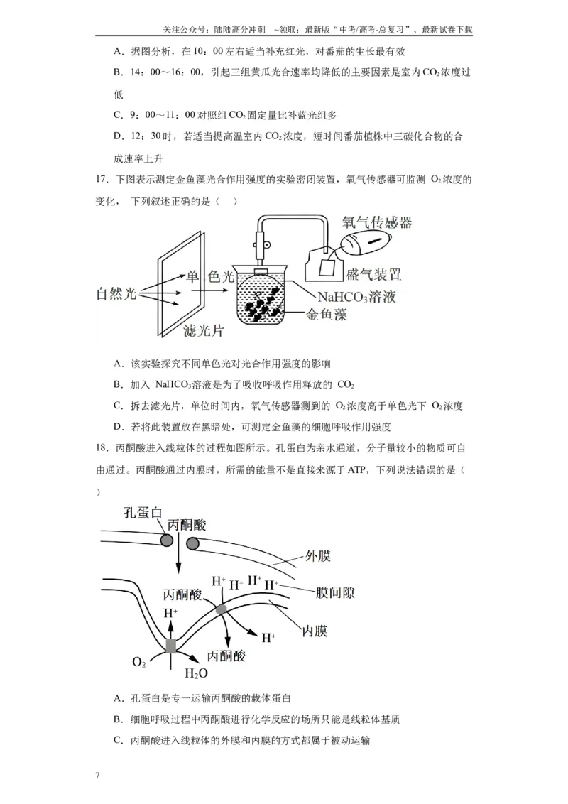 《第三单元细胞的代谢（测试卷）（原卷版)_06-生物-高考总复习_一轮复习_2024年_2024年高考生物一轮复习重难点专项突破_资料》第7页预览