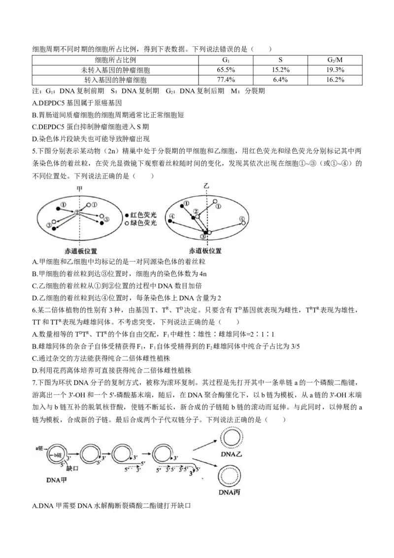 《17_2024山东省菏泽一模（试卷+答案）_2025版教学资源包_（总复习系列）2025版《5年高考3年模拟》新高考版B版（⭐全科）_2025版.新高考新教材版.选考总复习.生物.5·3B版_1_资源拓展》第2页预览