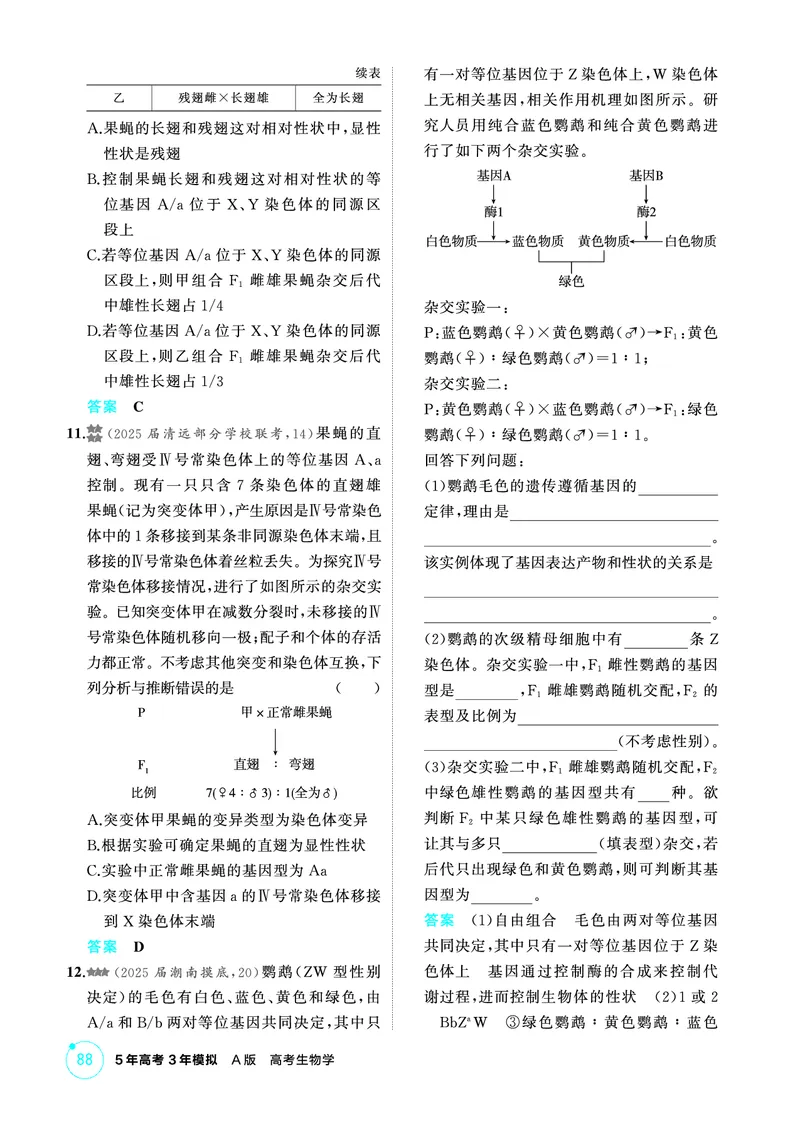 《1_精练册-第8章伴性遗传和人类遗传病_2026版教学资源包_202653高考总复习A版_广东版_2026版.广东版.选考总复习.生物.5·3A版_第2部分遗传与进化_第8章伴性遗传和人类遗传病_4_PDF教参电子书》第4页预览