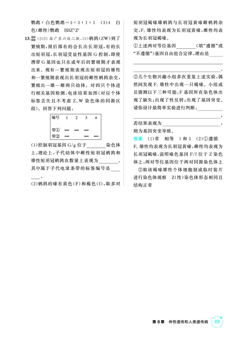 《1_精练册-第8章伴性遗传和人类遗传病_2026版教学资源包_202653高考总复习A版_广东版_2026版.广东版.选考总复习.生物.5·3A版_第2部分遗传与进化_第8章伴性遗传和人类遗传病_4_PDF教参电子书》第5页预览
