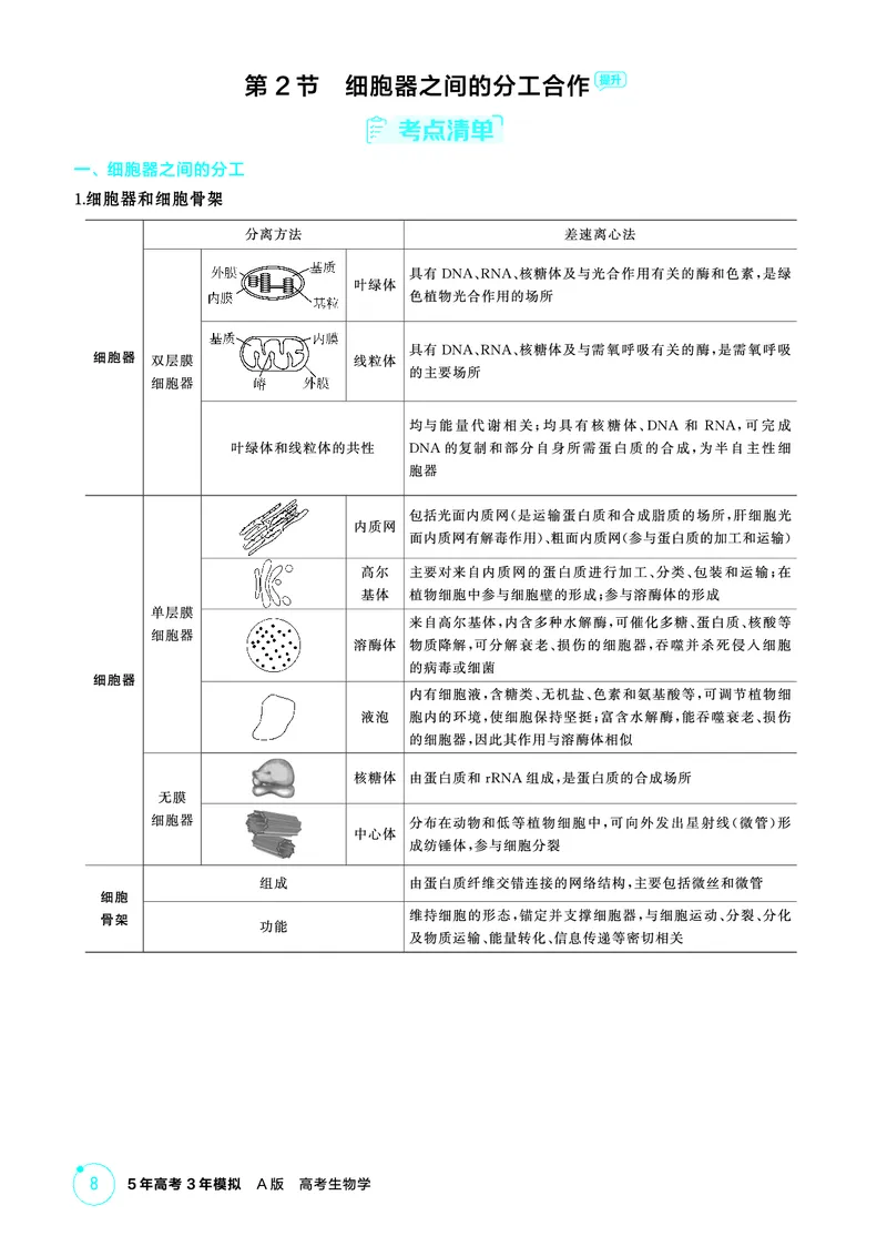 《1_精讲册-第2章细胞的结构与功能_2026版教学资源包_202653高考总复习A版_浙江版_2026版.浙江版.选考总复习.生物.5·3A版_第1部分分子与细胞_第2章细胞的结构与功能_2_精讲册PDF》第3页预览