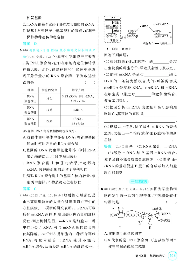 《1_精练册第10章基因的表达_2026版教学资源包_202653高考总复习A版_新高考_生物_教师A版2026年.新高考版.生物.53_第2部分遗传与进化_第10章基因的表达_4_PDF教参电子书》第2页预览