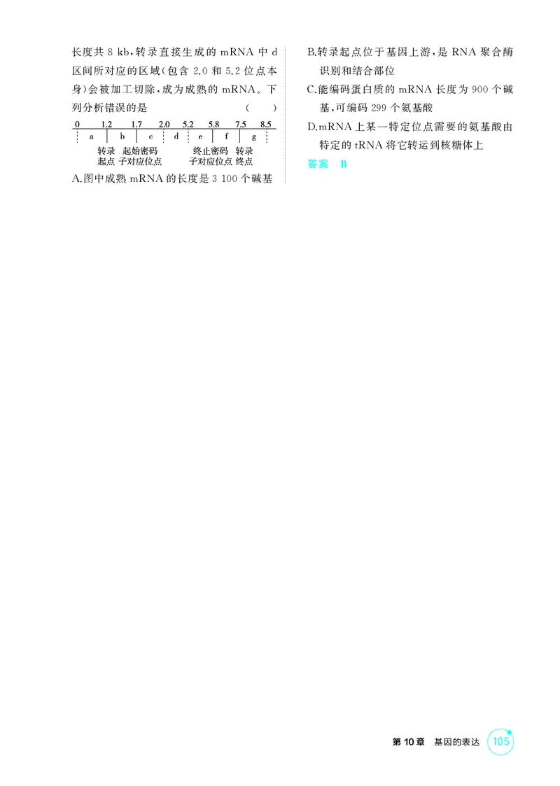 《1_精练册第10章基因的表达_2026版教学资源包_202653高考总复习A版_新高考_生物_教师A版2026年.新高考版.生物.53_第2部分遗传与进化_第10章基因的表达_4_PDF教参电子书》第4页预览