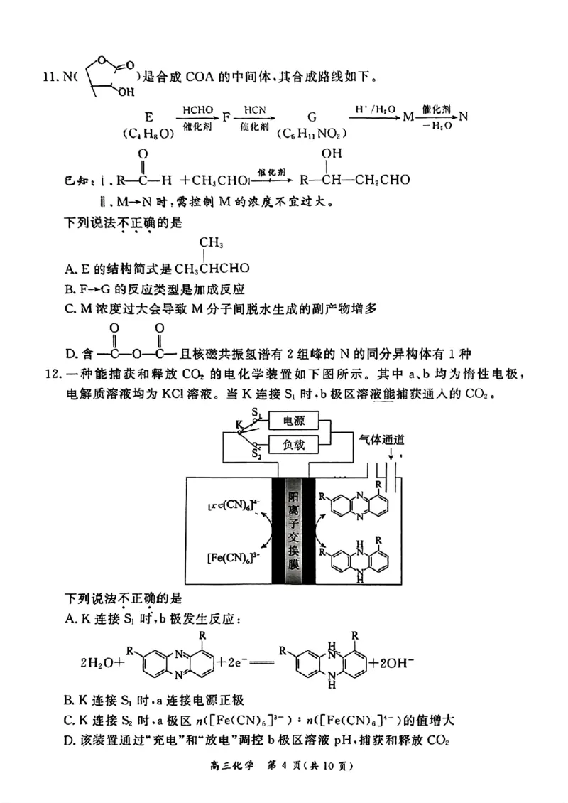 《8_05化学北京东城区（一模）试卷+标答评分细则_2025版教学资源包_（总复习系列）2025版《5年高考3年模拟》新高考版B版（⭐全科）_2025版.新高考新教材版.选考总复习.化学.5·3B版》第4页预览