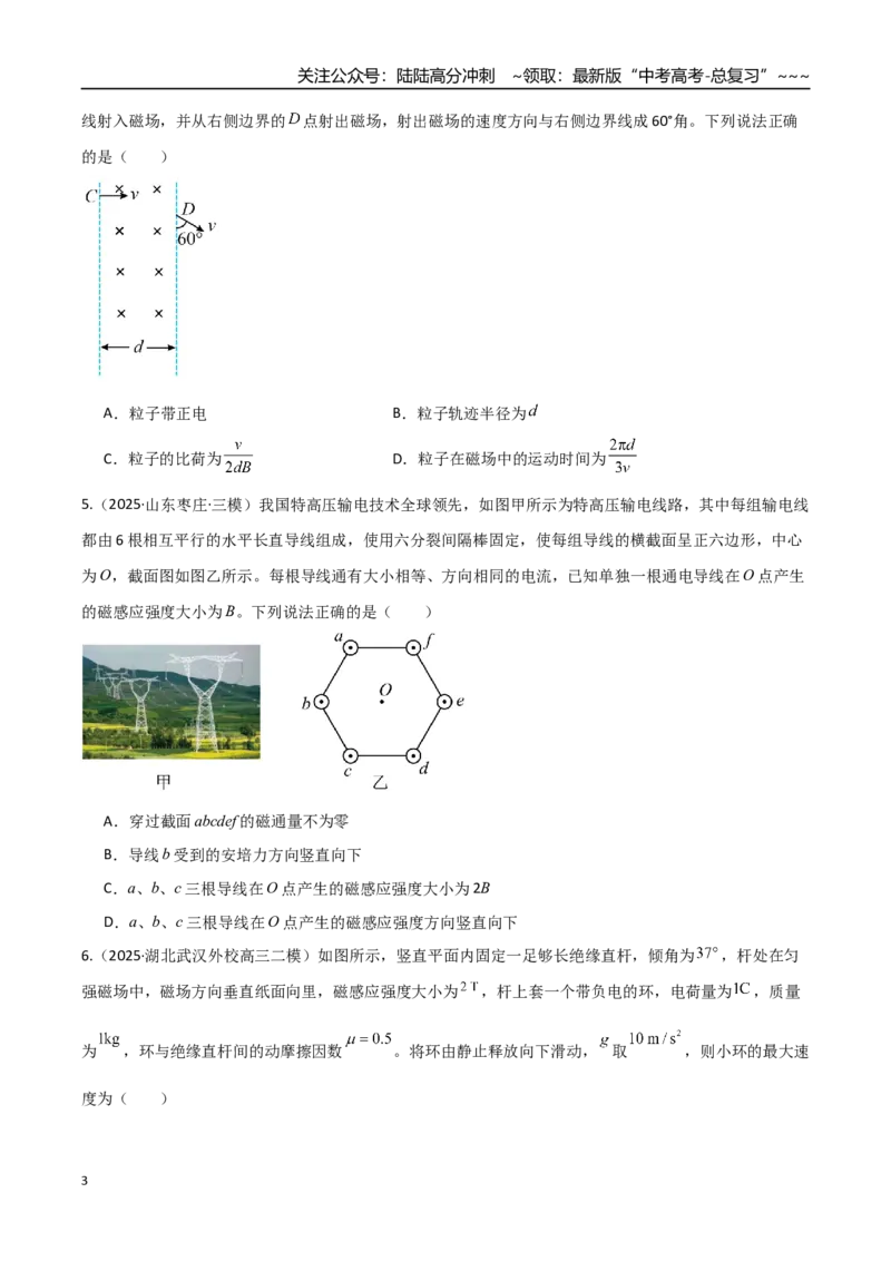 《第十一章磁场（综合训练）（湖南通用）（学生版）_04-物理-高考总复习_一轮复习_2026年-物理高考一轮复习_2026年高考物理一轮课件+讲义+练习（湖南专用）-G331》第3页预览