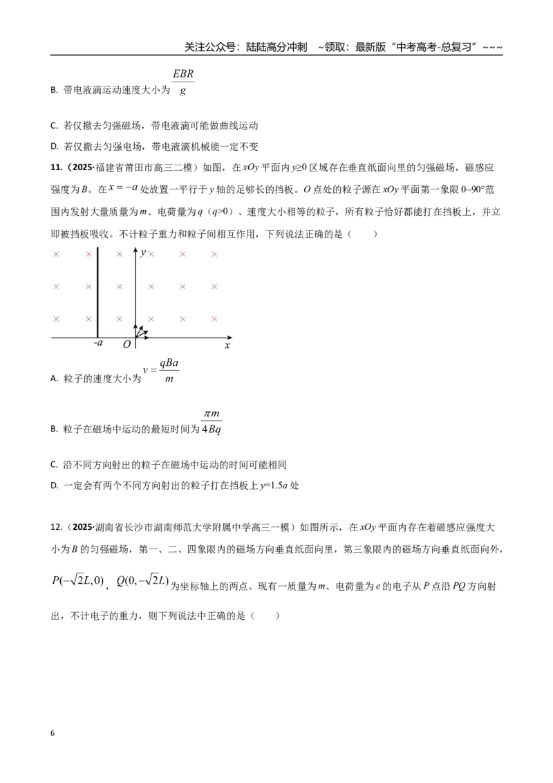 《第十一章磁场（综合训练）（湖南通用）（学生版）_04-物理-高考总复习_一轮复习_2026年-物理高考一轮复习_2026年高考物理一轮课件+讲义+练习（湖南专用）-G331》第6页预览