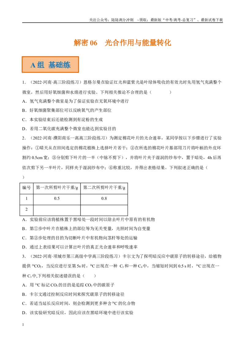 《解密06光合作用与能量转化（分层训练）（原卷版）_06-生物-高考总复习_二轮复习_2024年_2024年新教材高考生物二轮复习讲义分层训练题考点_资料》第1页预览