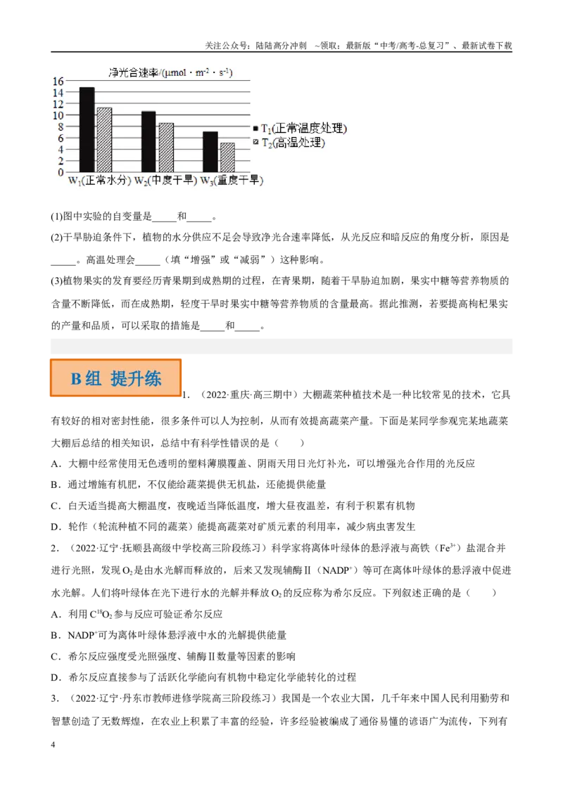《解密06光合作用与能量转化（分层训练）（原卷版）_06-生物-高考总复习_二轮复习_2024年_2024年新教材高考生物二轮复习讲义分层训练题考点_资料》第4页预览