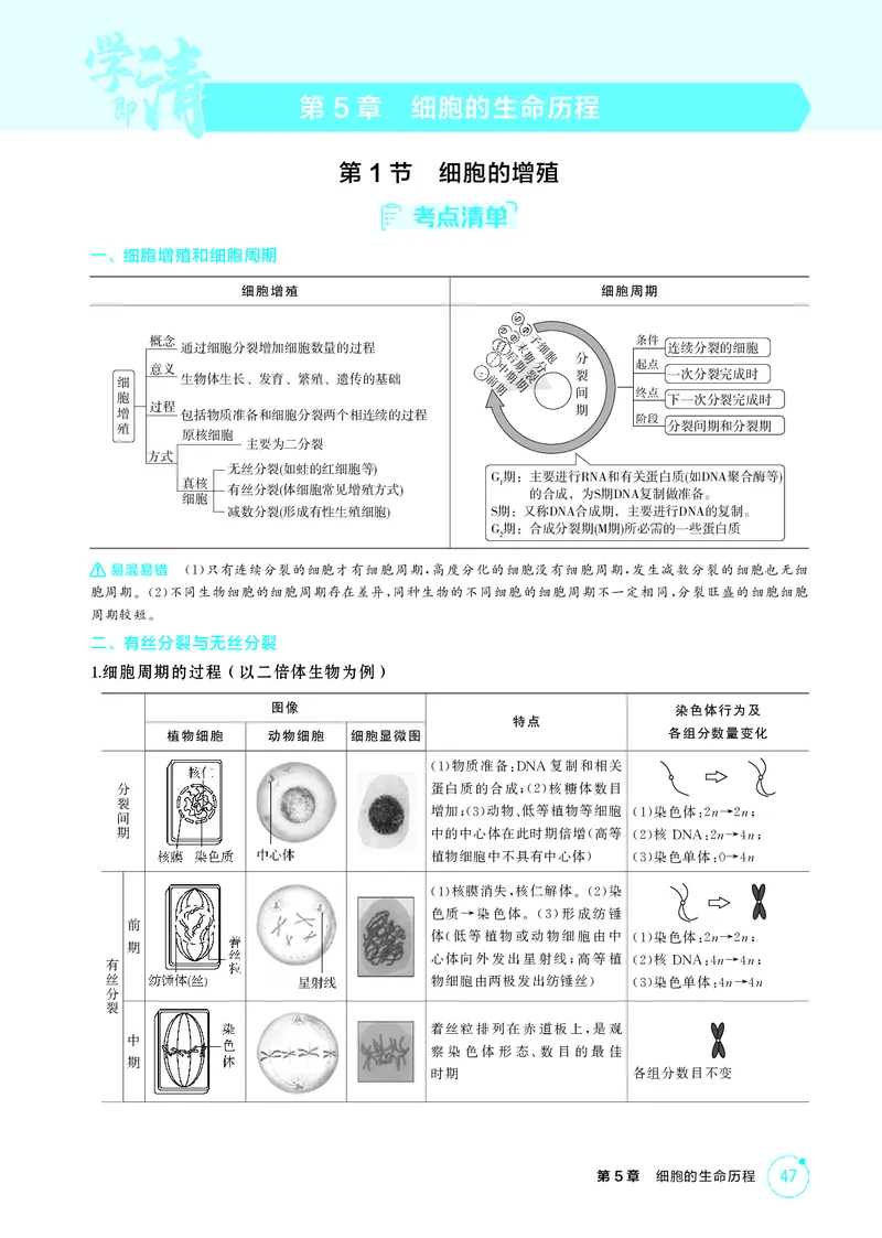 《1_精讲册-第5章　细胞的生命历程_2026版教学资源包_202653高考总复习A版_江苏版_2026版.江苏版.选考总复习.生物.5·3A版_第1部分分子与细胞_第5章细胞的生命历程_2_精讲册PDF》第1页预览