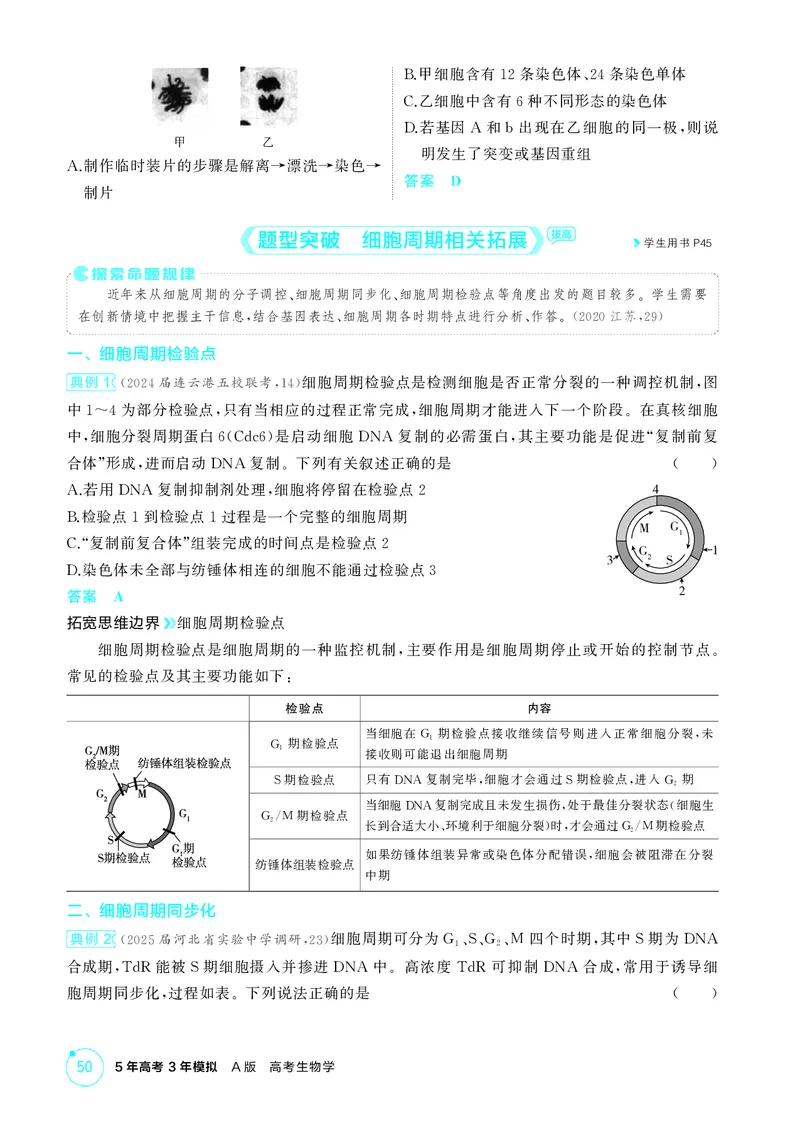 《1_精讲册-第5章　细胞的生命历程_2026版教学资源包_202653高考总复习A版_江苏版_2026版.江苏版.选考总复习.生物.5·3A版_第1部分分子与细胞_第5章细胞的生命历程_2_精讲册PDF》第4页预览