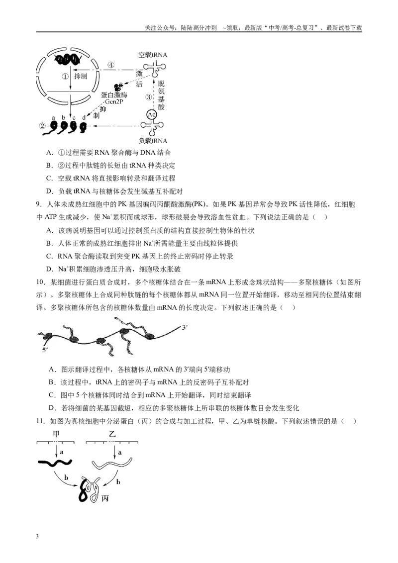 《第六单元遗传的物质基础（测试）（学生版）_06-生物-高考总复习_一轮复习_2025年_2025年高考生物一轮复习讲义+练习+课件（新教材新高考）_第六单元遗传的分子基础》第3页预览