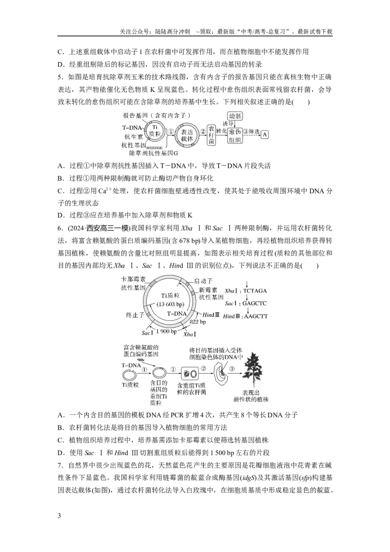 《第十单元　课时练61　基因工程的基本工具和基本操作程序_06-生物-高考总复习_一轮复习_2025年_2025年大一轮复习讲义人教版生物_资料_1-资料_大一轮复习讲义学生专用_2025一轮复习73练》第3页预览
