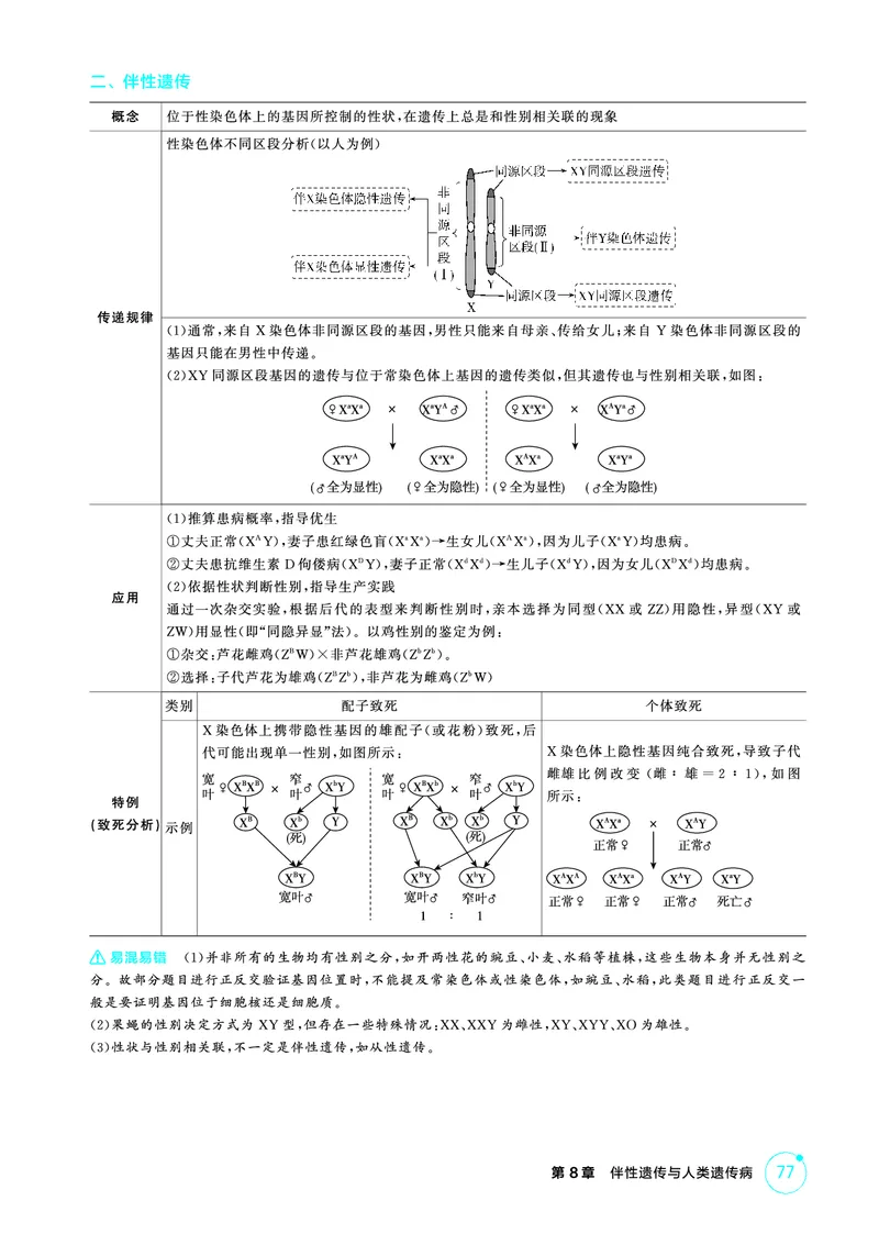 《1_精讲册PDF-第8章伴性遗传与人类遗传病_2026版教学资源包_202653高考总复习A版_山东版_2026版.山东版.选考总复习.生物.5·3A版_第2部分遗传与进化_第8章伴性遗传与人类遗传病_2_精讲册PDF》第2页预览