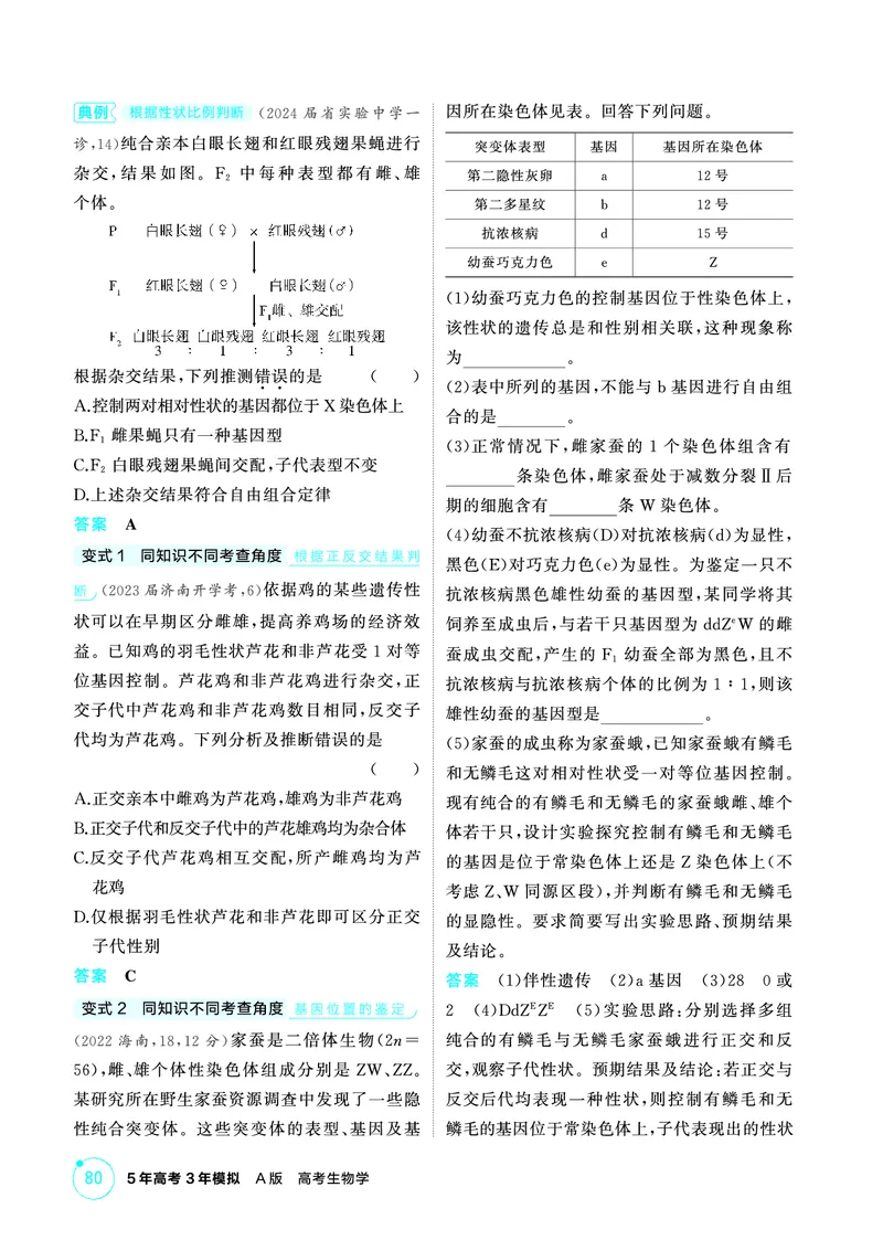 《1_精讲册PDF-第8章伴性遗传与人类遗传病_2026版教学资源包_202653高考总复习A版_山东版_2026版.山东版.选考总复习.生物.5·3A版_第2部分遗传与进化_第8章伴性遗传与人类遗传病_2_精讲册PDF》第5页预览